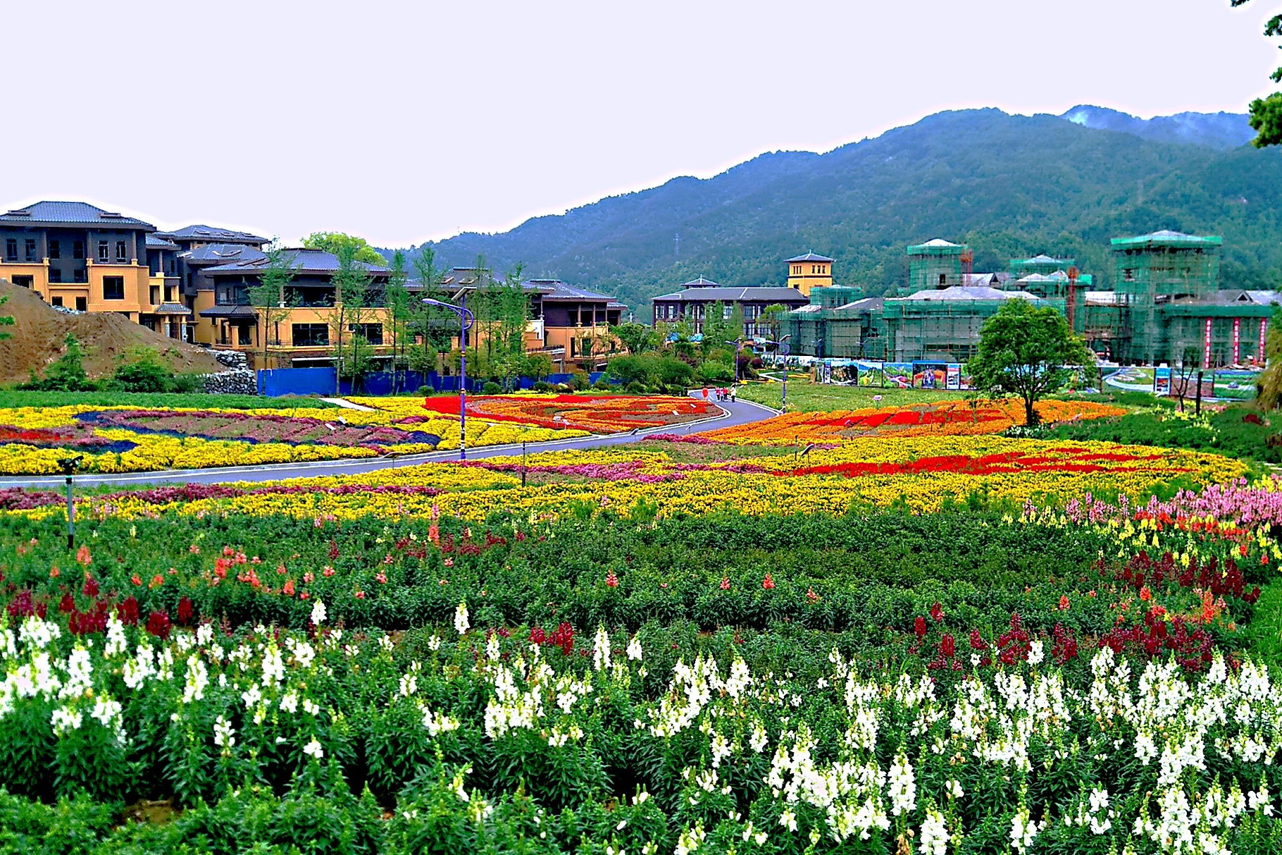 Yingshan Four Seasons Flower Sea